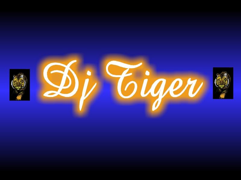 DJ TIGER