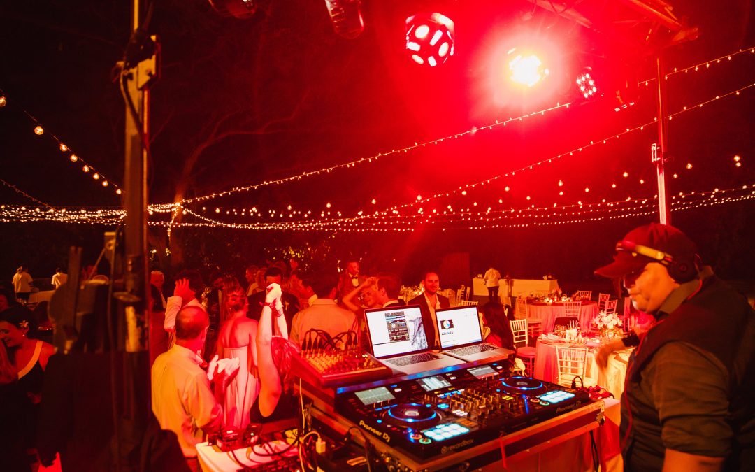 Put a New Spin on your Holiday Party with a DJ Tiger dance party!